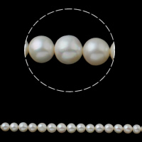 Brambor pěstované sladkovodní perle, Sladkovodní Pearl, přírodní, bílý, 8-9mm, Otvor:Cca 0.8mm, Prodáno za Cca 15 inch Strand