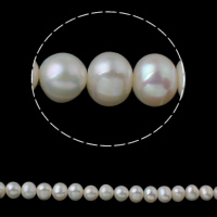 Prátaí Saothraithe coirníní Péarla Fionnuisce, Pearl Fionnuisce, nádúrtha, bán, 9-10mm, Poll:Thart 0.8mm, Díolta Per Thart 15.3 Inse Snáithe