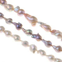 Slatkovodni Kulturan jezgrom Pearl perle, Kulturan Slatkovodni jezgrom Pearl, Keishi, prirodan, više boja za izbor, 13-15mm, Rupa:Približno 0.8mm, Prodano Per Približno 15.3 inčni Strand