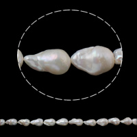 Slatkovodni Kulturan jezgrom Pearl perle, Kulturan Slatkovodni jezgrom Pearl, Keishi, prirodan, bijel, 15-17mm, Rupa:Približno 0.8mm, Prodano Per Približno 15.3 inčni Strand