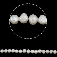 Barokní kultivované sladkovodní perle, Sladkovodní Pearl, Baroko, přírodní, bílý, 12-13mm, Otvor:Cca 0.8mm, Prodáno za Cca 15 inch Strand