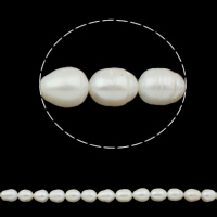 Perles d'eau douce de culture de riz, perle d'eau douce cultivée, naturel, blanc, grade AAA, 10-11mm, Trou:Environ 0.8mm, Longueur 14.5 pouce, 10Strandstoron/lot, Vendu par lot