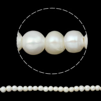 Krumpir Kulturan Slatkovodni Pearl perle, prirodan, bijel, 8-9mm, Rupa:Približno 2mm, Prodano Per Približno 15 inčni Strand