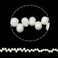 Rýže kultivované sladkovodní perle, Sladkovodní Pearl, přírodní, top vrtané, bílý, 5-6mm, Otvor:Cca 0.8mm, Prodáno za Cca 15.5 inch Strand