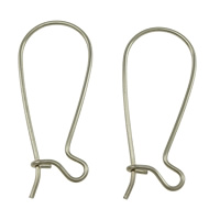 Stainless Steel Vese Fülbevaló Hooks, az eredeti szín, 12x25x0.70mm, 2000PC-k/Lot, Által értékesített Lot