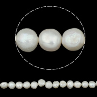 Barokní kultivované sladkovodní perle, Sladkovodní Pearl, bílý, Grade, 11-12mm, Otvor:Cca 0.8mm, Prodáno za Cca 14.5 inch Strand