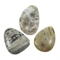 agate océan Pendentif, naturel, mélangé, 28x42x5mm-36x37x6mm, Trou:Environ 2mm, 5PC/sac, Vendu par sac