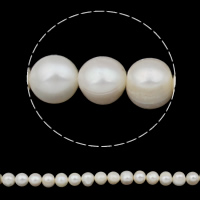 Runda odlad sötvattenspärla pärlor, Freshwater Pearl, naturlig, vit, Grade A, 9-10mm, Hål:Ca 0.8mm, Såld Per 14.5 inch Strand