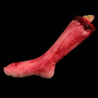 Guma Złamany Foot Prop, Halloween biżuteria, 170x290mm, 2komputery/wiele, sprzedane przez wiele