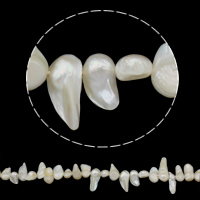 Coirníní Keishi saothraithe Diúilicín Péarla, Pearl Fionnuisce, nádúrtha, bán, 10-28mm, Poll:Thart 0.8mm, Díolta Per Thart 15.7 Inse Snáithe