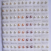 Freshwater Pearl Stud Earring, med plast earnut, mässing örhänge inlägg, Knapp, naturlig, blandade färger, 7-8mm, 50Pairs/Bag, Säljs av Bag