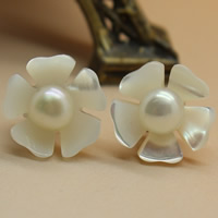 Bhlaosc Earrings, Fionnuisce Shell, le Pearl Fionnuisce, práis iar earring, Flower, nádúrtha, bán, 5-6mm, Díolta De réir Péire