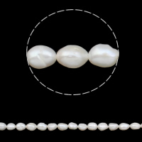 Barokní kultivované sladkovodní perle, Sladkovodní Pearl, Baroko, přírodní, bílý, 8-9mm, Otvor:Cca 0.8mm, Prodáno za Cca 14.7 inch Strand