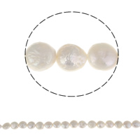 Coin ferskvandskulturperle Beads, Ferskvandsperle, naturlig, hvid, 8-9mm, Hole:Ca. 0.8mm, Solgt Per Ca. 15.3 inch Strand