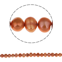 Barock odlad sötvattenspärla pärlor, Freshwater Pearl, rödorange, 8-9mm, Hål:Ca 0.8mm, Såld Per Ca 14.2 inch Strand