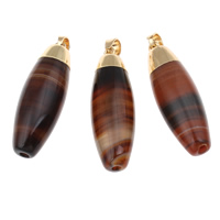 Pendants Agate Lása, le bannaí práis, Oval, dath an óir plated, nádúrtha, dearg, 14x43mm, Poll:Thart 5x6mm, 10ríomhairí pearsanta/Mála, Díolta De réir Mála