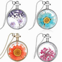 Flytande Locket Necklace, Zink Alloy, med Torkade blommor & järnkedja & Glas, Flat Round, plated, kulkedja & fasetterad, fler färger för val, nickel, bly och kadmium gratis, 33x33x14.50mm, Längd Ca 23.5 inch, 3Strands/Bag, Säljs av Bag