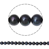 Runde ferskvandskulturperle Beads, Ferskvandsperle, naturlig, sort, Grade AA, 8-9mm, Hole:Ca. 0.8mm, Solgt Per 15 inch Strand