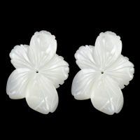 Naturliga vita Snäckskalspärlor, White Shell, Blomma, 20-22x25-31x3.5mm, Hål:Ca 0.5mm, 10PC/Lot, Säljs av Lot