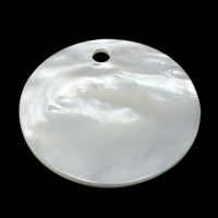 Přírodní Přívěsky White Shell, Flat Round, 41.50x41.50x2mm, Otvor:Cca 4.5mm, 2PC/Lot, Prodáno By Lot