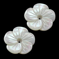 Naturliga vita Snäckskalspärlor, White Shell, Blomma, 18x18x3mm, Hål:Ca 0.5mm, 10PC/Lot, Säljs av Lot