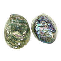 Abalone Shell Cabochon, Školjka, prirodan, više boja za izbor, 92x125.50x36mm, 2računala/Lot, Prodano By Lot