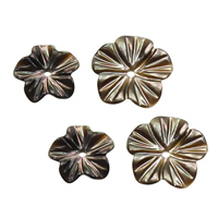 Spacer Perlen Schmuck, Schwarze Muschel, Blume, natürlich, verschiedene Größen vorhanden, Bohrung:ca. 1mm, 20PCs/Menge, verkauft von Menge