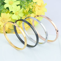 Titanium Staal Bangle, Donut, plated, meer kleuren voor de keuze, 4mm, Binnendiameter:Ca 59mm, Lengte Ca 7 inch, 3pC's/Bag, Verkocht door Bag