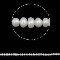 Button Gekweekte Zoetwater Parel kralen, Knop, natuurlijk, wit, 5-6mm, Gat:Ca 0.8mm, Per verkocht Ca 15 inch Strand