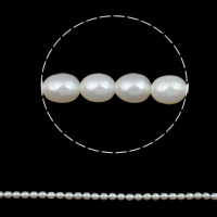 Rýže kultivované sladkovodní perle, Sladkovodní Pearl, přírodní, bílý, 5-6mm, Otvor:Cca 0.8mm, Prodáno za Cca 15 inch Strand