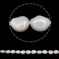 Barokna Kulturan Slatkovodni Pearl perle, prirodan, multi-boji, 12-13mm, Rupa:Približno 0.8mm, Prodano Per Približno 15.5 inčni Strand