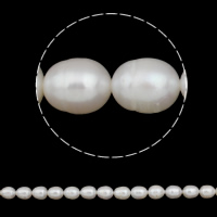 Rýže kultivované sladkovodní perle, Sladkovodní Pearl, přírodní, bílý, 10-11mm, Otvor:Cca 0.8mm, Prodáno za Cca 15 inch Strand