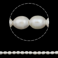 Rice Kulturan Slatkovodni Pearl perle, Riža, prirodan, bijel, 11-12mm, Rupa:Približno 2mm, Prodano Per Približno 15 inčni Strand