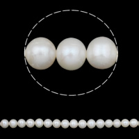 Grânulos de pérolas  cultivadas de água doce de forma redomda., Pérolas de água doce, Roda, naturais, branco, 10-11mm, Buraco:Aprox 0.8mm, vendido para Aprox 15.7 inchaltura Strand