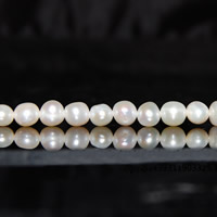 Barokna Kulturan Slatkovodni Pearl perle, prirodan, bijel, 6mm, Rupa:Približno 0.8mm, Prodano Per Približno 15 inčni Strand