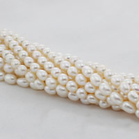 Ris odlad sötvattenspärla pärlor, Freshwater Pearl, naturlig, vit, 8mm, Hål:Ca 0.8mm, Såld Per Ca 15 inch Strand