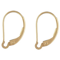 Goud gevulde Hendel terug Earring Wires, 14K gevuld, nikkel, lood en cadmium vrij, 16x9mm, Verkocht door pair