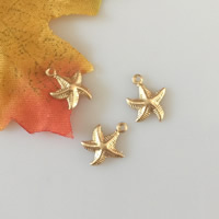 Oro-llenado Colgante de cadena extensor, Estrella de Mar, 14K gold-filled, libre de níquel, plomo & cadmio, 10x12.60mm, agujero:aproximado 1.1mm, Vendido por UD