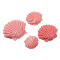 De reuze Parels van de Clam, Gecanneleerd Giant, Schelp, Gesneden, verschillende grootte voor keus, 5pC's/Lot, Verkocht door Lot