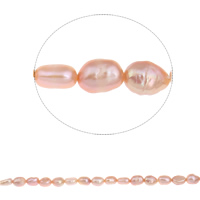 Barokní kultivované sladkovodní perle, Sladkovodní Pearl, Baroko, přírodní, nachový, 6-7mm, Otvor:Cca 0.8mm, Prodáno za Cca 15.5 inch Strand