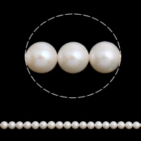 Krumpir Kulturan Slatkovodni Pearl perle, prirodan, bijel, Grade AAAA, 9-10mm, Rupa:Približno 0.8mm, Prodano Per Približno 15.5 inčni Strand