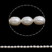 Rice Kulturan Slatkovodni Pearl perle, Riža, prirodan, bijel, 5-6mm, Rupa:Približno 0.8mm, Prodano Per Približno 15.5 inčni Strand