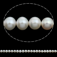 Grânulos de pérolas  cultivadas de água doce de forma redomda., Pérolas de água doce, Roda, naturais, branco, 8-9mm, Buraco:Aprox 0.8mm, vendido para Aprox 15.5 inchaltura Strand