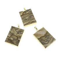 Picture Jasper Hänge, med järn bail, Rektangel, guldfärg pläterade, 31x46x7mm, Hål:Ca 5x6mm, 10PC/Bag, Säljs av Bag