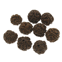 Buddhistische Perlen, Rudraksha, originale Farbe, 14x18mm-15x20mm, Bohrung:ca. 1.5mm, 100PCs/Tasche, verkauft von Tasche