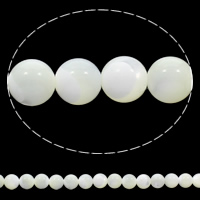 Prirodni White Shell perle, Bijela Shell, Krug, prirodan, 6mm, Rupa:Približno 1mm, Dužina Približno 15.5 inčni, 10pramenovi/Torba, Približno 65računala/Strand, Prodano By Torba