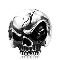 Stainless Steel Finger Ring for Men 316L Stainless Steel Skull & blacken Sold By Lot