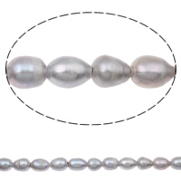 Rice Kulturan Slatkovodni Pearl perle, Riža, siv, 11-12mm, Rupa:Približno 2mm, Prodano Per Približno 15 inčni Strand