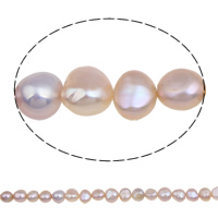 Button Kulturan Slatkovodni Pearl perle, prirodan, ljubičasta boja, 6-7mm, Rupa:Približno 0.8mm, Prodano Per Približno 15.5 inčni Strand