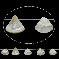 Přírodní korálky White Shell, Trojúhelník, bílý, 25x23x5mm-27x25x7mm, Otvor:Cca 1mm, Cca 11PC/Strand, Prodáno za Cca 15.5 inch Strand